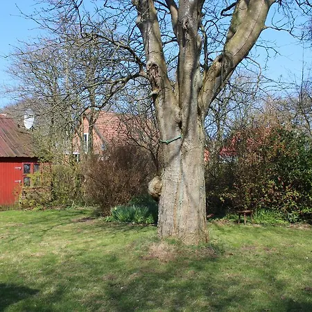 Penzion Byhus I Humlum *