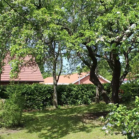 Byhus I Humlum * Struer